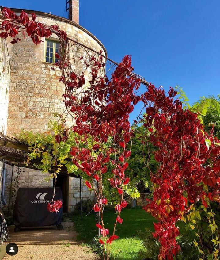 Cote-Serein La Privilege De La Tour Madame Noyers-sur-Serein Exteriör bild
